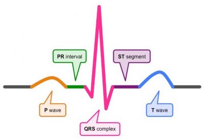 ecg_med